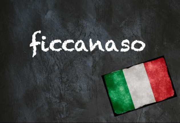 Italian word of the day ficcanaso