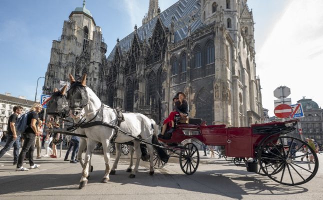 A horse and carriage in Vienna