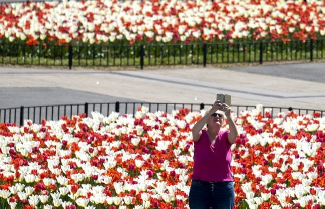 A woman takes a selfie in front of tulips blossoming at Karlsplatz in Vienna
