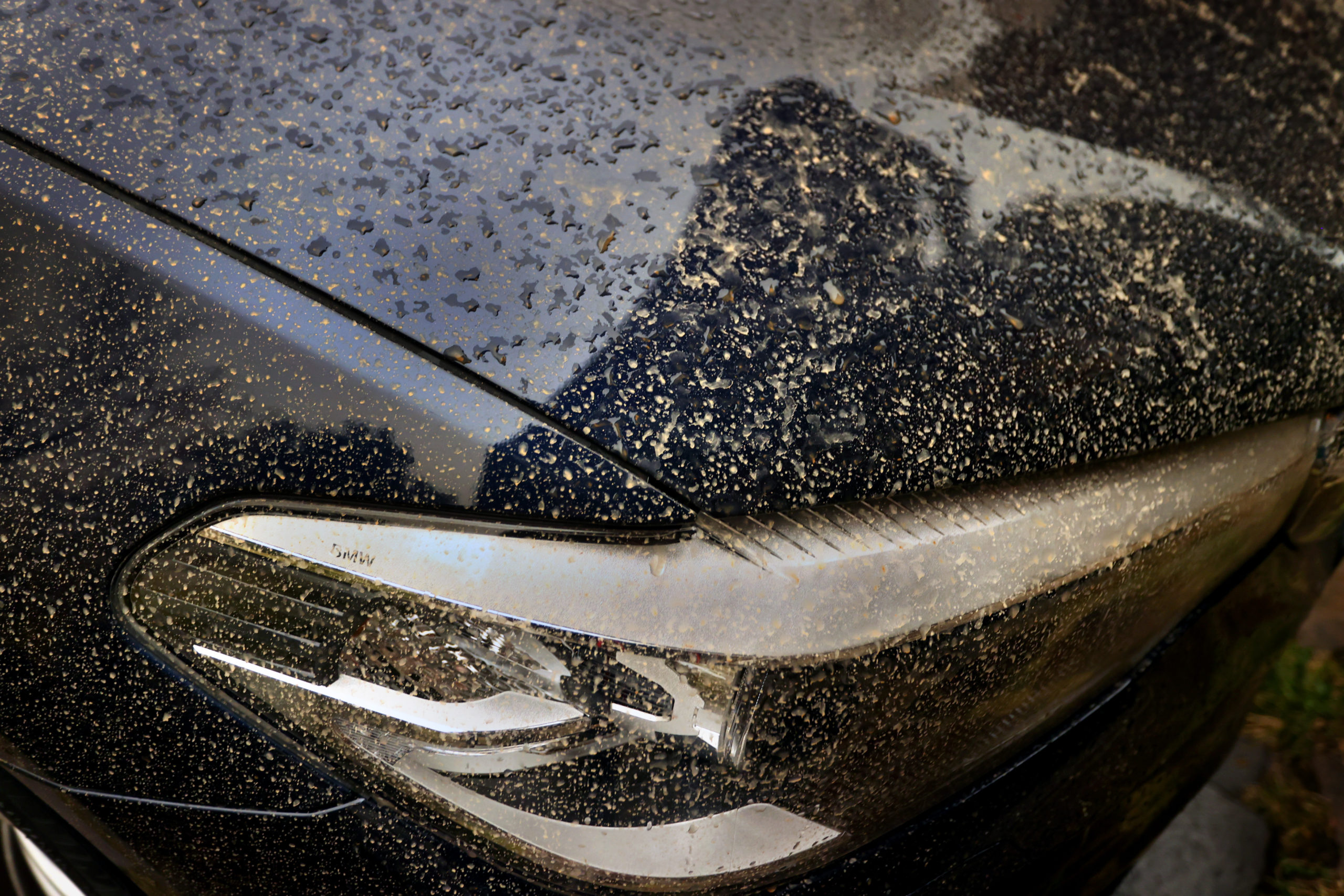 Sahara dust sticks to a car in Ruderatshofen, Bavaria, after rain.