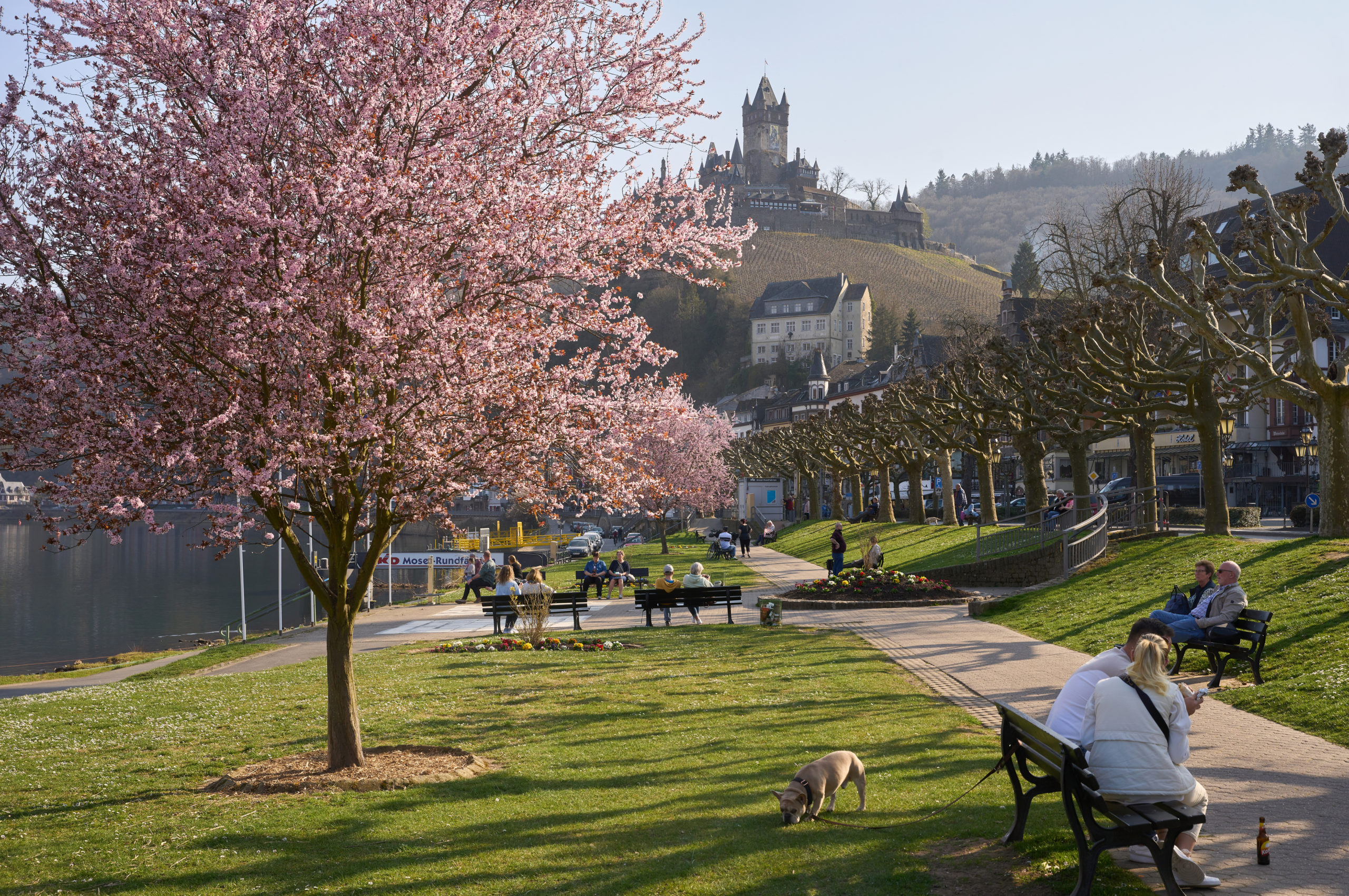 Tourists sit in front of the Reichsburg in Cochem on the Moselle River. 