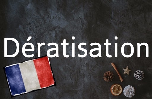 French word of the day: dératisation
