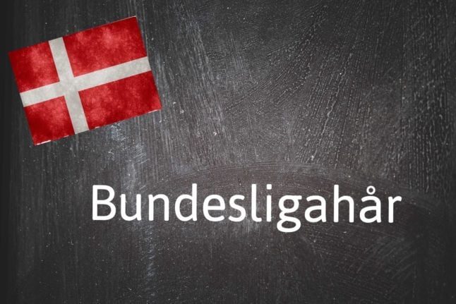 Danish word of the day: Bundesligahår