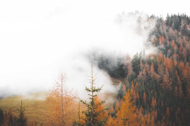 Smoke - or is it fog? - in the Austrian forest. Photo by Daniel J. Schwarz on Unsplash