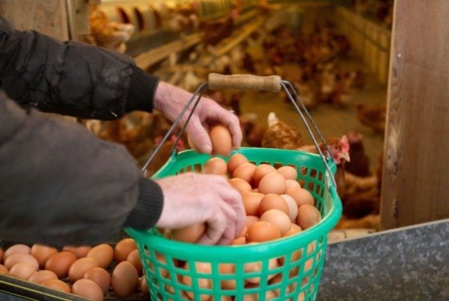 The everyday German groceries that have a double meaning