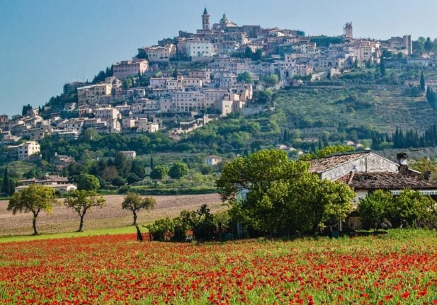 Umbria bursts into flower in the spring. 