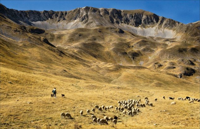 Expect to encounter shepherds herding their flocks of sheep if you visit Gran Sasso in the spring. 