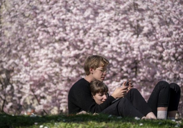 A couple sit in front of a tree