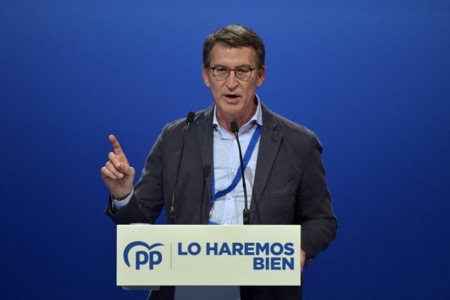 The new leader of Spain's opposition Popular Party (PP) Alberto Nunez Feijoo.