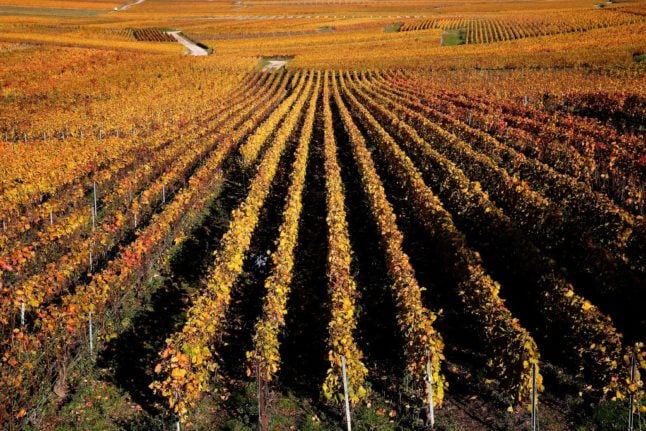 Increasing numbers of foreign celebrities are investing in French vineyards.