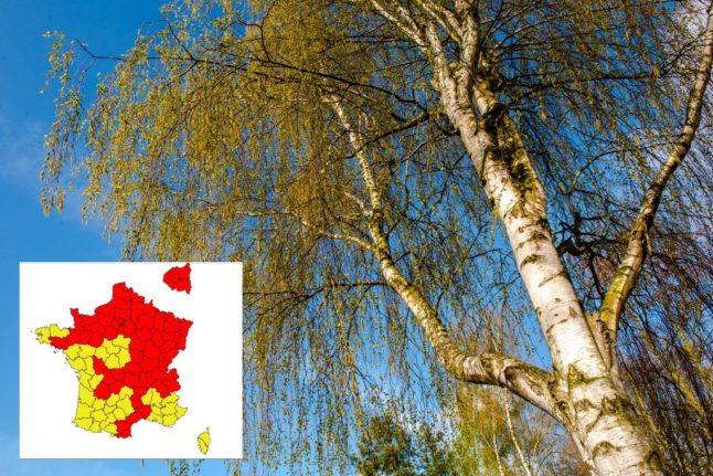 More than half of France on 'red alert' for pollen