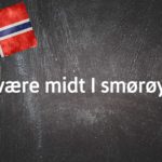 Norwegian expression of the day: Å være midt i smørøyet