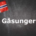 Norwegian word of the day: Gåsunger 