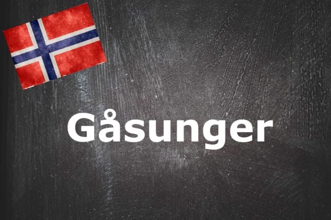 Norwegian word of the day: Gåsunger