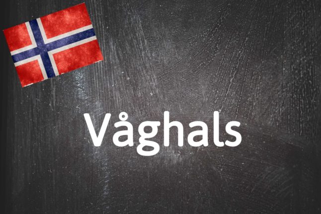 Today's Norwegian word of the day: Våghals.