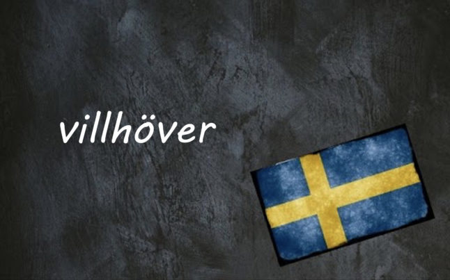 Swedish word of the day: villhöver