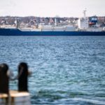 Swedish dockworkers refuse to unload Russian banana boat