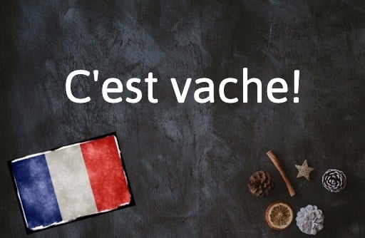 French expression of the Day: C’est vache