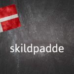 Danish word of the day: Skildpadde