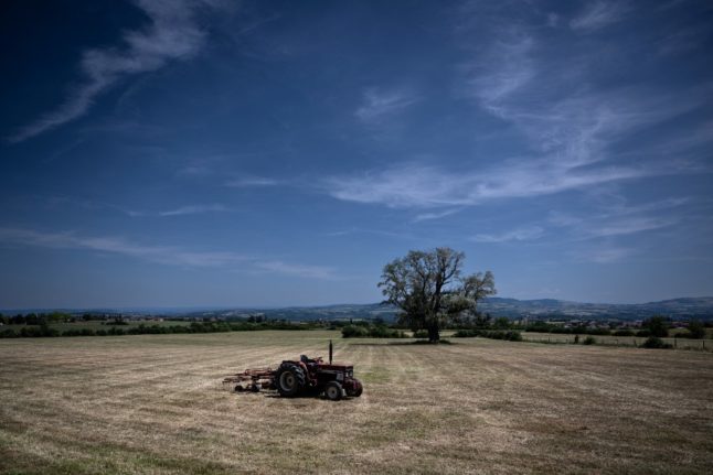 ANALYSIS: Is France food self-sufficient?