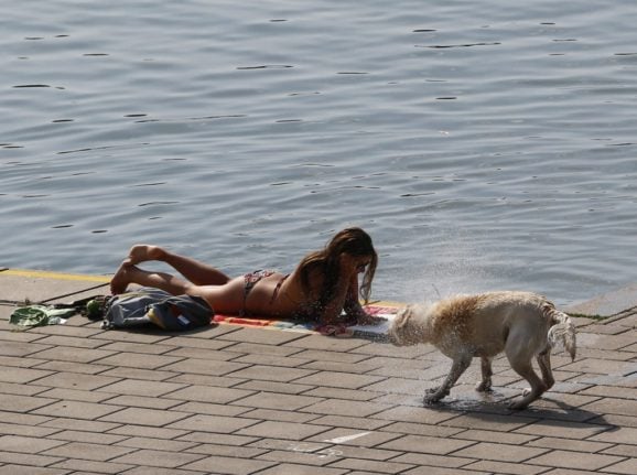 A woman sunbathing in Vienna.