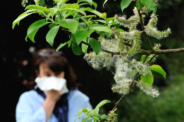 Pollen allergies in Spain: What you need to know