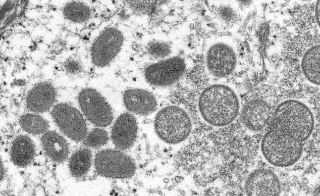 An electron microscopic (EM) image shows mature, oval-shaped monkeypox virus particles