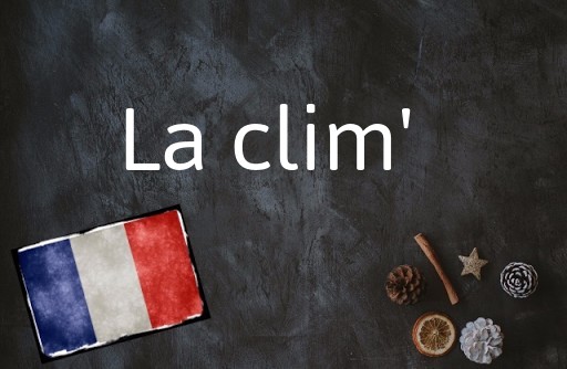 French Expression of the Day: La clim'