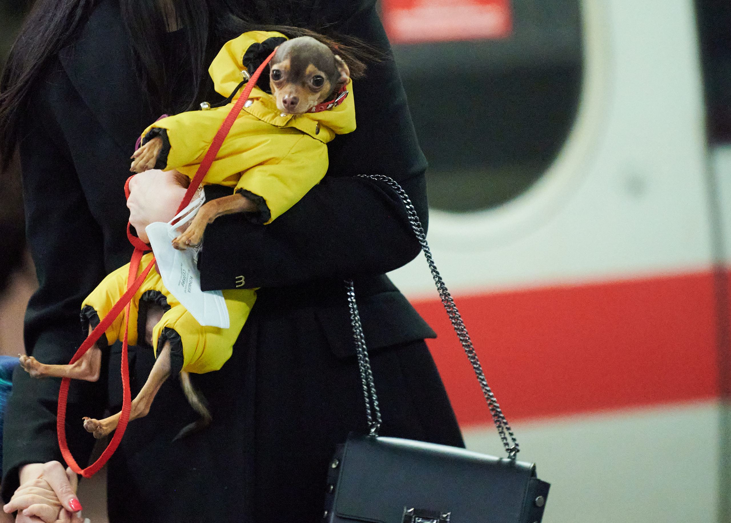 A woman carries her dog through a Berlin train station
