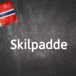 Norwegian word of the day: Skilpadde