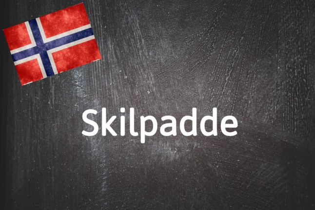 Norwegian word of the day: Skilpadde