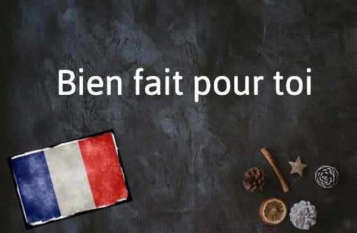 French Expression of the Day:  Bien fait pour toi