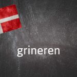 Danish word of the day: Grineren
