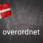 Danish word of the day: Overordnet