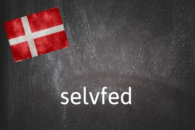 Danish word of the day: Selvfed