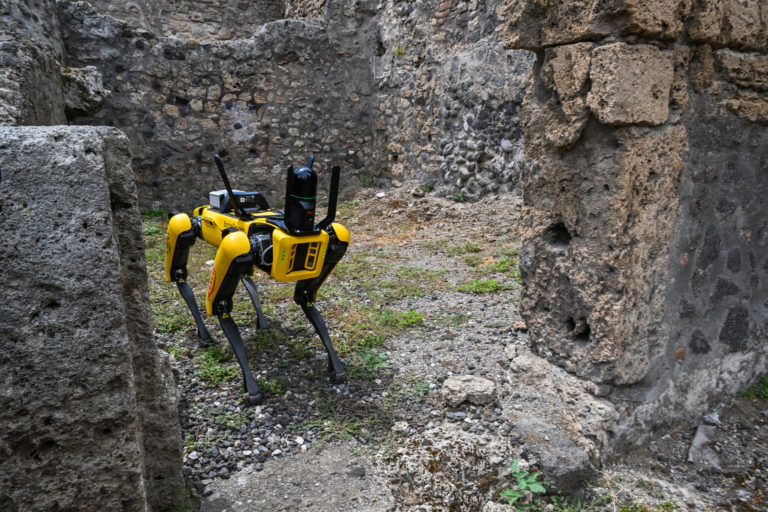 pompeii robot dog