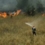 Two hospitalised as wildfire breaks out near Rome