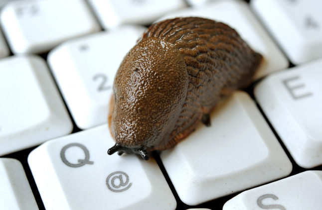 A slug on a keyboard