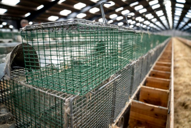 A Danish mink fur farm after its animals were culled