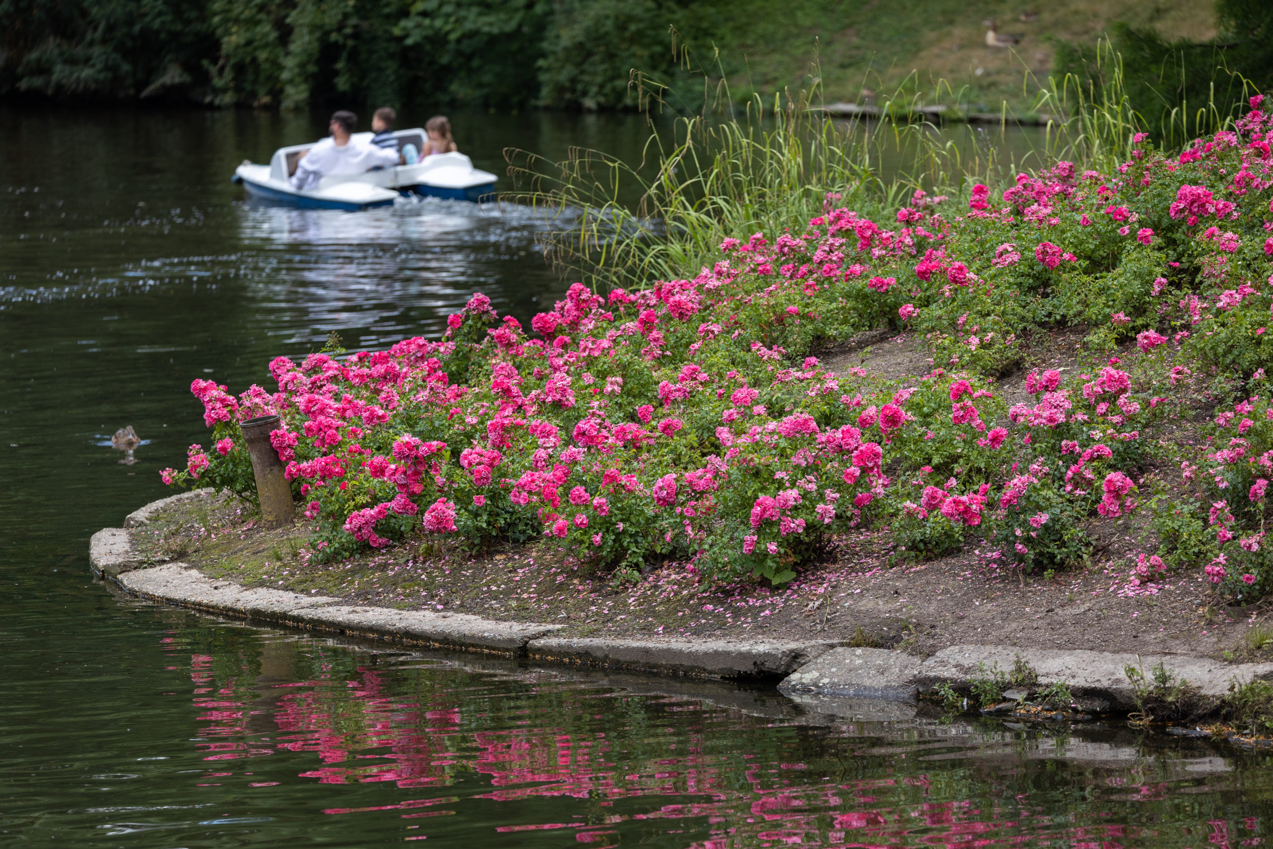The Kurpark in Wiesbaden.
