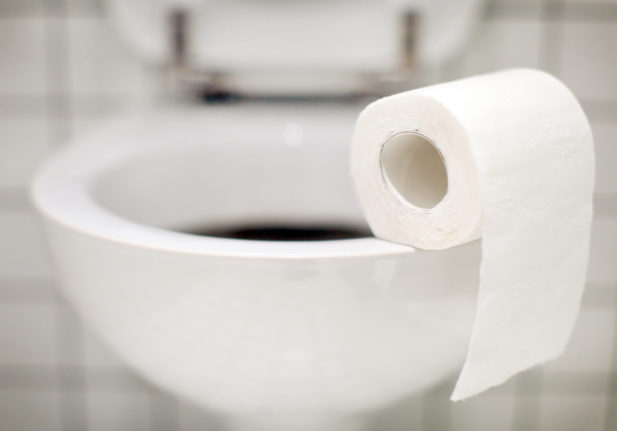A toilet paper roll on a toilet. Get used to German toilet habits. 
