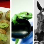 Reader question: Do the French really eat frogs, snails and horses?
