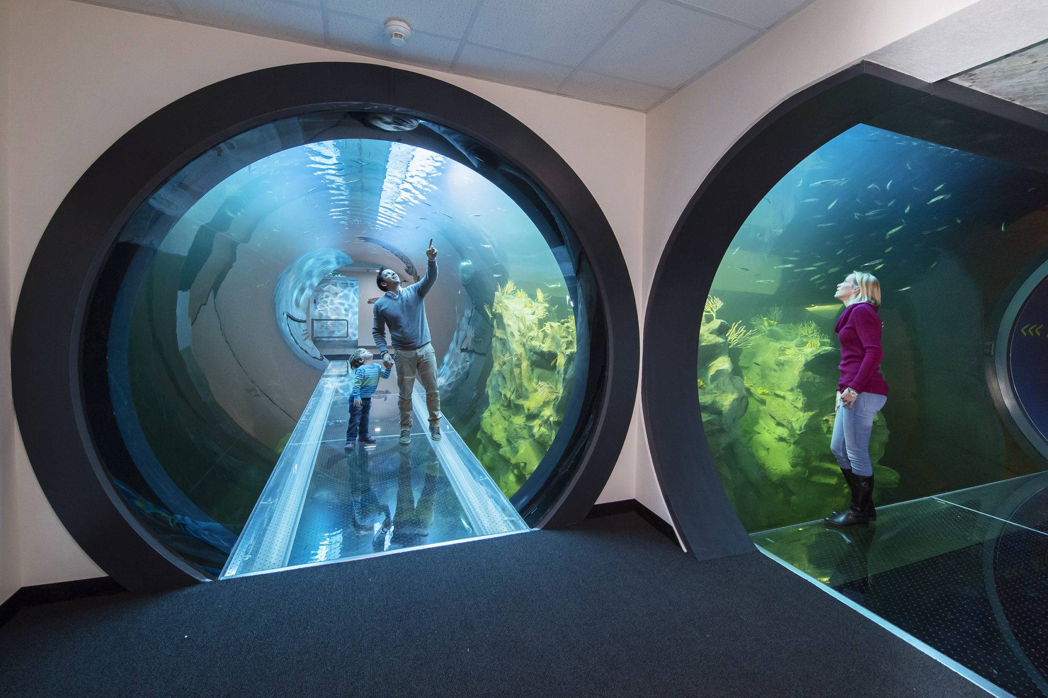 Five underrated towns you can visit in a day from Vienna