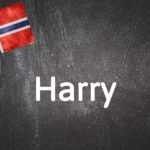 Norwegian word of the day: Harry 