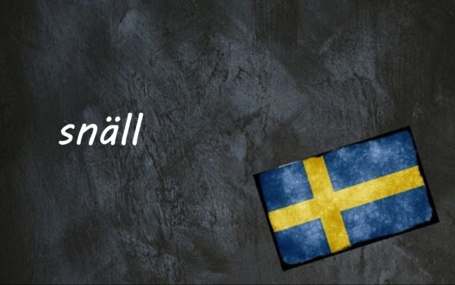 Swedish word of the day: snäll