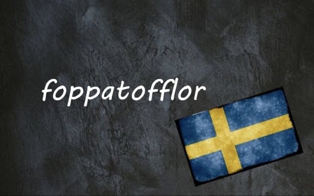 Swedish word of the day: foppatofflor