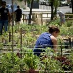 How to get involved with urban gardens in Spain