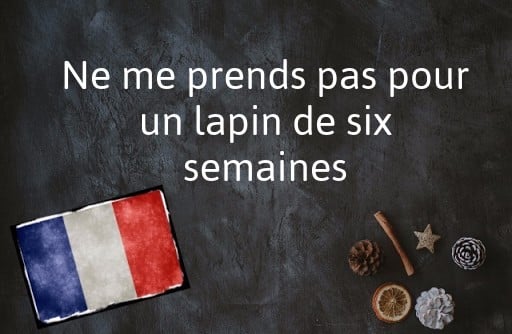 French phrase of the Day: Ne me prends pas pour un lapin de six semaines