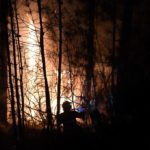 1,000 firefighters battle ‘mega-fire’ in southern France