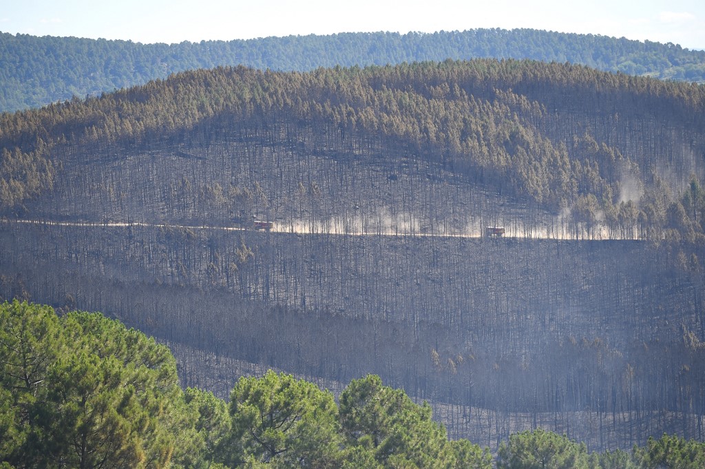 Brannmenn kjører etter en skog som brant i Frankrike